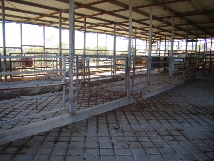 FOR SALE BY EXPRESSION OF INTEREST Pittsworth Abattoir